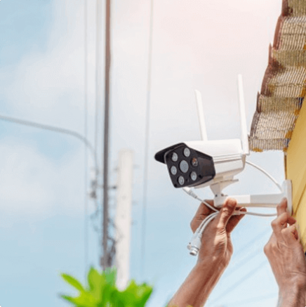 Professional Security Personnel